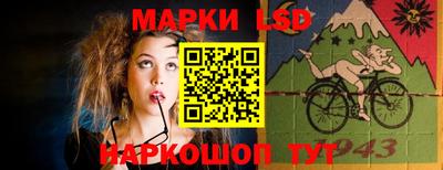 бошки Кимры