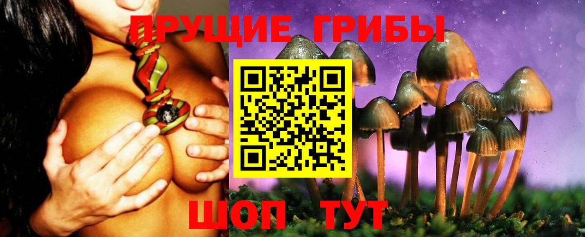 Псилоцибиновые грибы Magic Shrooms Курчалой